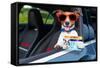 Dog Drivers License-Javier Brosch-Framed Stretched Canvas