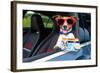 Dog Drivers License-Javier Brosch-Framed Photographic Print