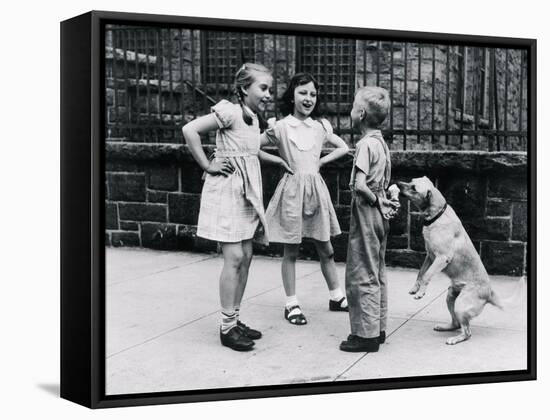 Dog Eating Ice Cream Cone Hidden behind Boy's Back-William Milnarik-Framed Stretched Canvas