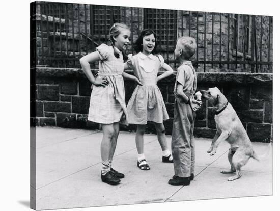 Dog Eating Ice Cream Cone Hidden behind Boy's Back-William Milnarik-Stretched Canvas