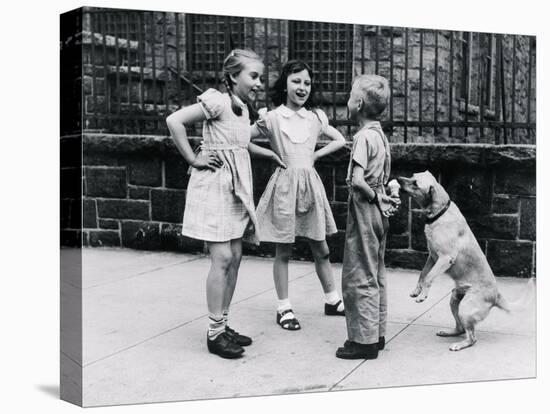 Dog Eating Ice Cream Cone Hidden behind Boy's Back-William Milnarik-Stretched Canvas