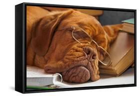 Dog Education Funny Abstract Image-vitalytitov-Framed Stretched Canvas