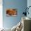 Dog Education Funny Abstract Image-vitalytitov-Stretched Canvas displayed on a wall