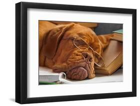 Dog Education Funny Abstract Image-vitalytitov-Framed Photographic Print