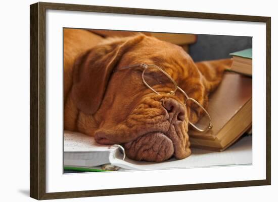 Dog Education Funny Abstract Image-vitalytitov-Framed Photographic Print