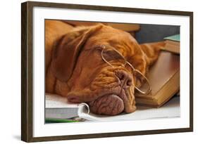 Dog Education Funny Abstract Image-vitalytitov-Framed Photographic Print