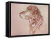 Dog Eight-Rusty Frentner-Framed Stretched Canvas