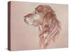 Dog Eight-Rusty Frentner-Stretched Canvas