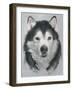 Dog Eleven-Rusty Frentner-Framed Giclee Print