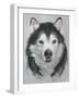 Dog Eleven-Rusty Frentner-Framed Giclee Print