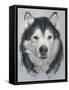 Dog Eleven-Rusty Frentner-Framed Stretched Canvas