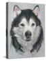 Dog Eleven-Rusty Frentner-Stretched Canvas