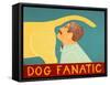 Dog Fanatic Yellow-Stephen Huneck-Framed Stretched Canvas