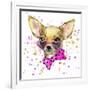 Dog Fashion T-Shirt Graphics. Dog Illustration with Splash Watercolor Textured Background. Unusual-Dabrynina Alena-Framed Art Print