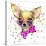 Dog Fashion T-Shirt Graphics. Dog Illustration with Splash Watercolor Textured Background. Unusual-Dabrynina Alena-Stretched Canvas