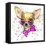 Dog Fashion T-Shirt Graphics. Dog Illustration with Splash Watercolor Textured Background. Unusual-Dabrynina Alena-Framed Stretched Canvas