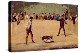 Dog Fighting-Samuel Henry Alken-Stretched Canvas