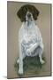 Dog Five-Rusty Frentner-Mounted Giclee Print