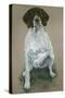 Dog Five-Rusty Frentner-Stretched Canvas