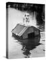 Dog Floating on Doghouse-Bettmann-Stretched Canvas