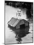 Dog Floating on Doghouse-Bettmann-Mounted Photographic Print