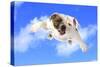 Dog Flying - English Bulldog Flying In The Cloudy Blue Sky-Willee Cole-Stretched Canvas