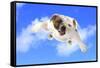 Dog Flying - English Bulldog Flying In The Cloudy Blue Sky-Willee Cole-Framed Stretched Canvas