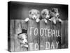 Dog Football Fans-null-Stretched Canvas