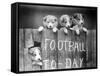 Dog Football Fans-null-Framed Stretched Canvas