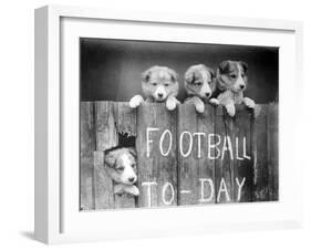 Dog Football Fans-null-Framed Photographic Print