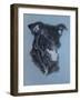 Dog Four-Rusty Frentner-Framed Giclee Print