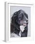 Dog Fourteen-Rusty Frentner-Framed Giclee Print