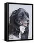 Dog Fourteen-Rusty Frentner-Framed Stretched Canvas