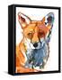 Dog fox, 2021, (mixed media on paper)-Mark Adlington-Framed Stretched Canvas