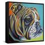 Dog Friend I-Carolee Vitaletti-Framed Stretched Canvas