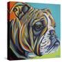 Dog Friend I-Carolee Vitaletti-Stretched Canvas