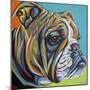 Dog Friend I-Carolee Vitaletti-Mounted Art Print