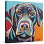 Dog Friend II-Carolee Vitaletti-Stretched Canvas