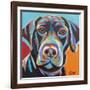 Dog Friend II-Carolee Vitaletti-Framed Art Print