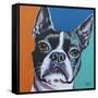 Dog Friend III-Carolee Vitaletti-Framed Stretched Canvas