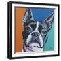 Dog Friend III-Carolee Vitaletti-Framed Art Print