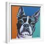 Dog Friend III-Carolee Vitaletti-Framed Art Print