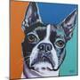 Dog Friend III-Carolee Vitaletti-Mounted Art Print