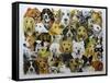 Dog Friends-Pat Scott-Framed Stretched Canvas