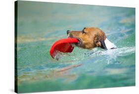 Dog Frisbee-Javier Brosch-Stretched Canvas