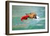 Dog Frisbee-Javier Brosch-Framed Photographic Print