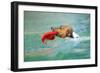 Dog Frisbee-Javier Brosch-Framed Photographic Print