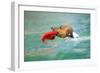 Dog Frisbee-Javier Brosch-Framed Photographic Print