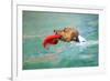 Dog Frisbee-Javier Brosch-Framed Photographic Print