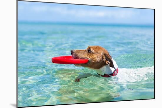 Dog Frisbee-Javier Brosch-Mounted Photographic Print
